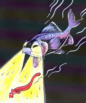 Fish emitting bioluminescence.