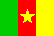 Cameroon flag