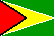 Guyana flag