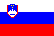 Slovenian flag
