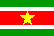 Suriname flag