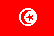 Tunisian flag