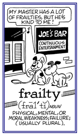 A physical, mental, or moral weakness.