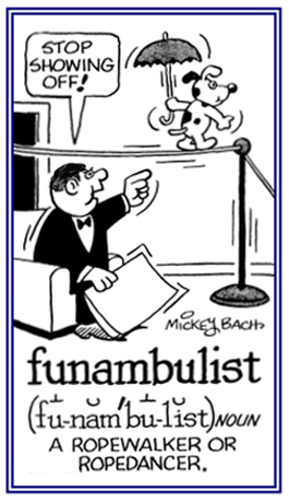 Someone who walks on ropes.