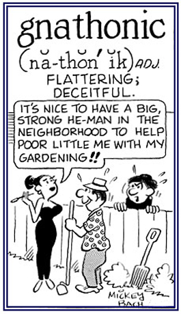 False praise or compliments.