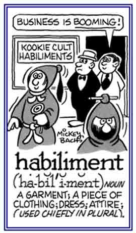 A garment or attire.