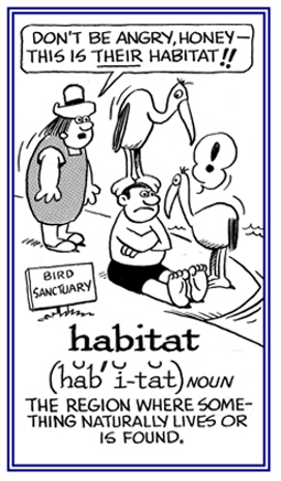 A place where something lives or is found.