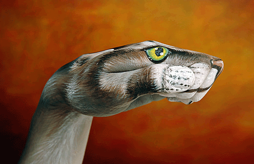 Hand as an art canvas