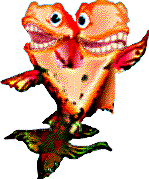 Iktho, the 
two-headed fish.