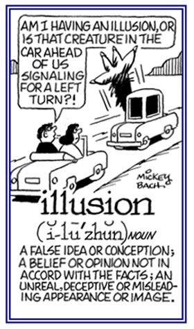 A false idea or conception; an unreal, deceptive, or misleading appearance.