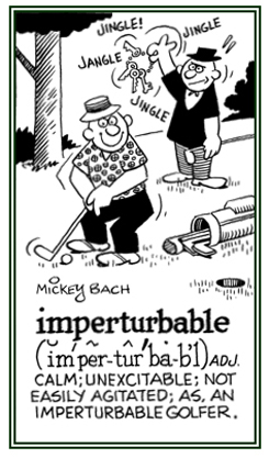 Calm and not easily agitated.