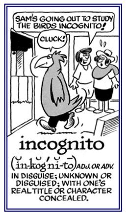 Unknown or in disguise.