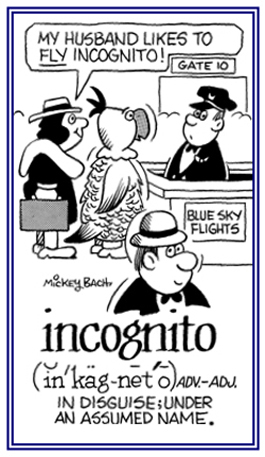 In disguise, an assumed name.