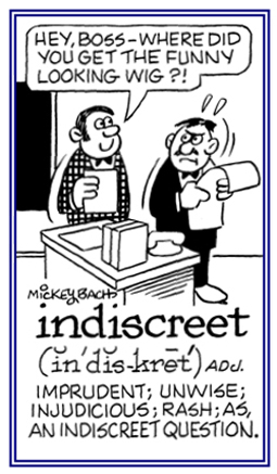 Something which is unwise or foolish.