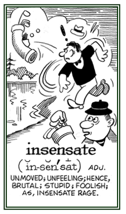 Stupid or foolish rage.