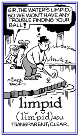 Clear and transparent.