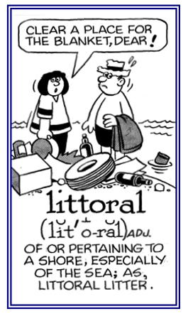 Descriptive of a sea shore.