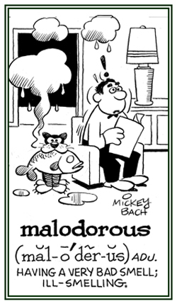 Having a very bad odor.