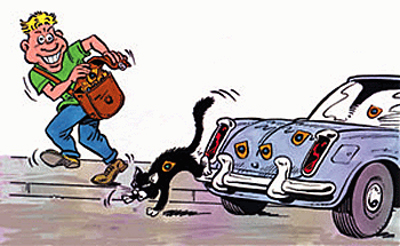 Putting decals on everything.