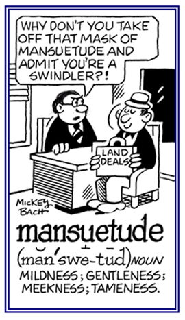 A meekness or mildness in appearance.