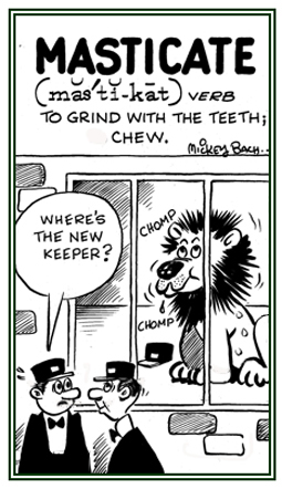 To chew by grinding with the teeth.