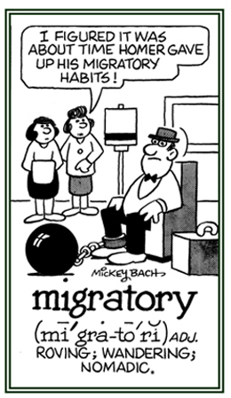 A reference to wandering around.