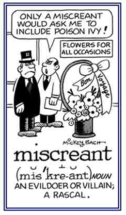 A rascal, an evildoer.