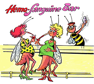 All mosquitoes that drink blood are female.