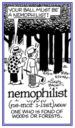 Someone who is fond of iving in forests.