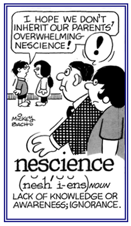 A word that means someone does not have much knowledge about things.