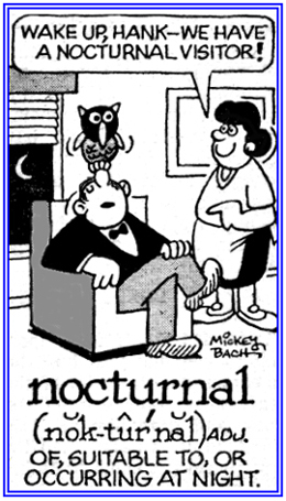 Relating to things that go on in the darkness.