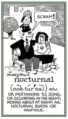 A reference to something that takes place at night.