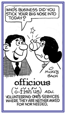 volunteering one's services where they are neither asked for nor wanted.