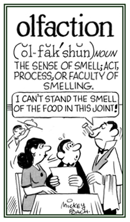 The process of smelling.