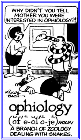 The study of serpents or snakes.