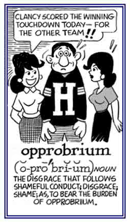 A dishonor resulting from a shameful behavior.