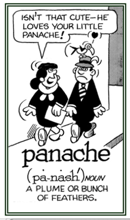 A bunch of feathers.