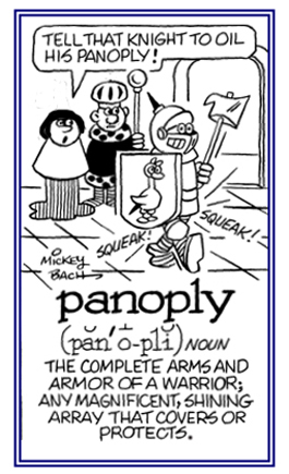 The metal covering of a warrior.