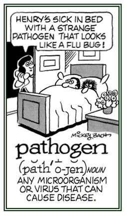 Any micro-organism or virus which can cause an illness.