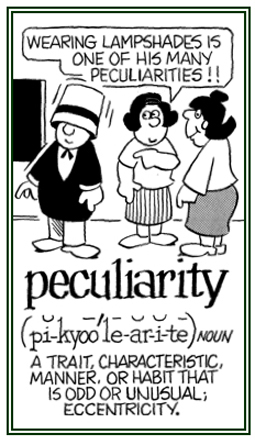 A characteristic that is odd or unusual.