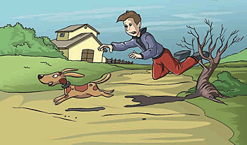 The branch from the small tree is impeding a man.