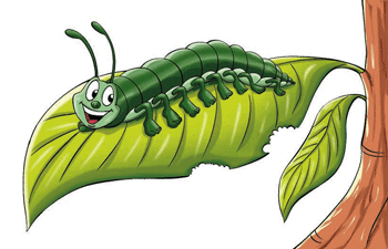 A multipede having a snack.