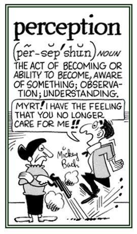 The ability to be aware something by observing and understanding it.
