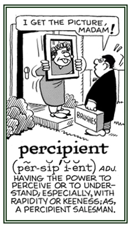 Relating to someone who is capable of perceiving or quickly understanding what is going on.
