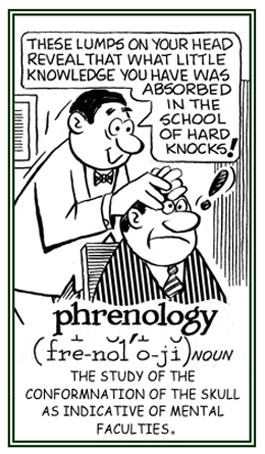 The study of the skull to determine mental faculties.