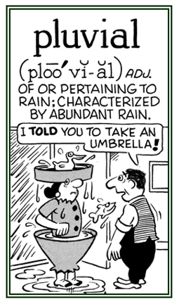 A reference to a lot of rain or an excessive amount of rain.