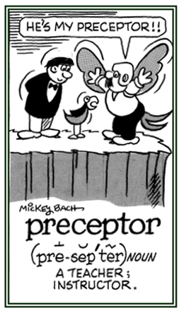 An instructor or teacher.