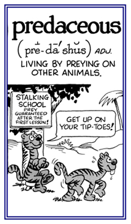 Living by preying on other animals.