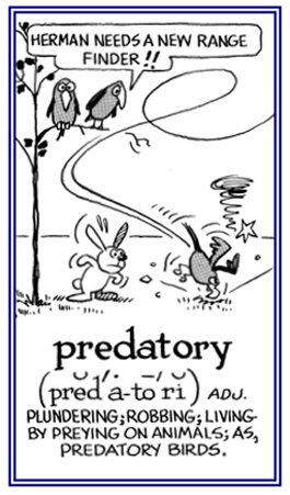 Living on other animals by preying on them.