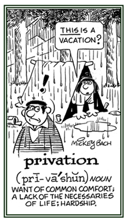 A lack of necessities for decent living.